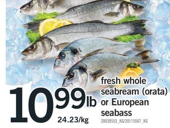 Fortinos Fresh whole seabream (orata) or european seabass offer