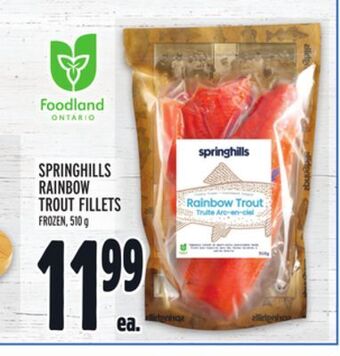 Metro Springhills rainbow trout fillets offer