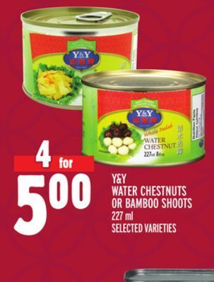 Metro Y&y water chestnuts or bamboo shoots offer