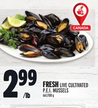 Metro Fresh live cultivated p.e.i. mussels offer