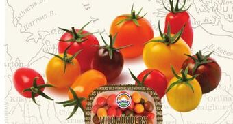 Longo's Fresh gourmet medley grape tomatoes offer