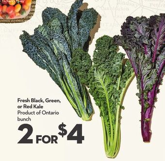 Longo's Fresh black, green, or red kale offer