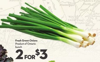 Longo's Fresh green onions offer