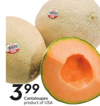 Sobeys Cantaloupes offer