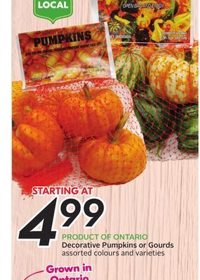 Sobeys Decorative pumpkins or gourds offer