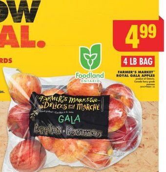 No Frills Farmer's market royal gala apples, 4 lb bag offer