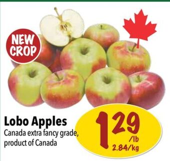 Farm Boy New crop lobo apples offer
