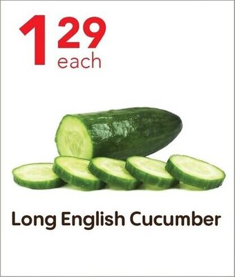 Long English Cucumber