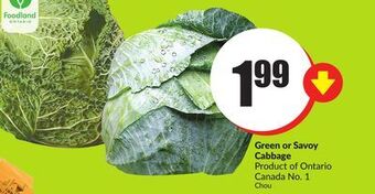FreshCo Green or savoy cabbage product of ontario canada no.1 offer