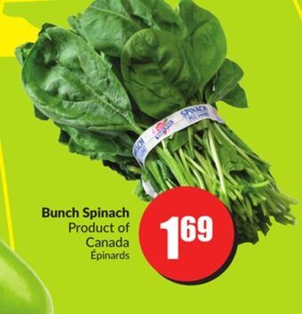 FreshCo Bunch spinach product of canada offer