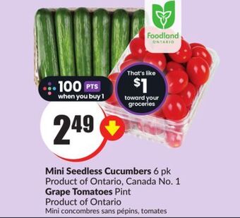 FreshCo Mini seedless cucumbers 6 pk product of ontario, canada no. 1 grape tomatoes pint product of ontario offer
