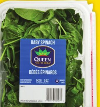 Giant Tiger Baby spinach or spring mix offer