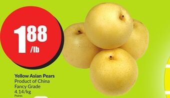 Chalo FreshCo Yellow asian pears product of china fancy grade 4.14/kg offer