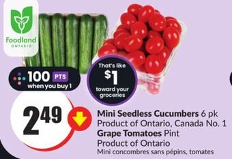 Chalo FreshCo Mini seedless cucumbers 6 pk product of ontario, canada no. 1 grape tomatoes pint product of ontario offer