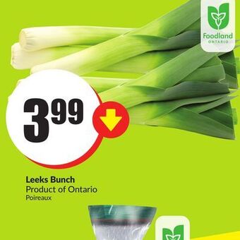 Chalo FreshCo Leeks bunch product of ontario offer