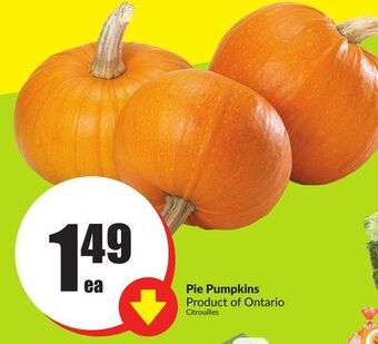 Chalo FreshCo Pie pumpkins product of ontario offer