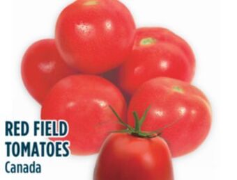 Marché Adonis Red field tomatoes offer