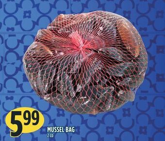 Marché Adonis Mussel bag offer