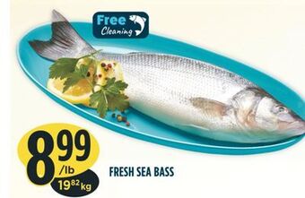 Marché Adonis Fresh sea bass offer