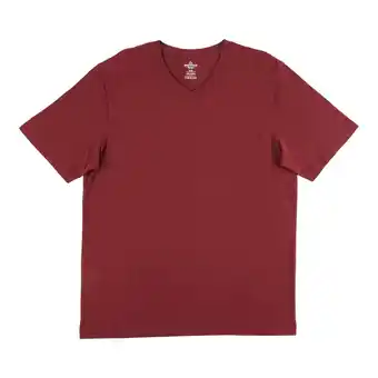 Giant Tiger Mountain ridge men's adventurer v-neck t-shirt offer