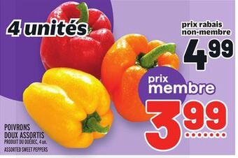 Metro Poivrons doux assortis | assorted sweet peppers offer