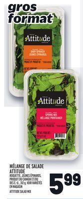 Metro Mélange de salade attitude | attitude salad mix offer