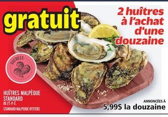 Metro Huîtres malpèque standard | standard malpeque oysters offer