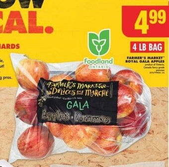 No Frills FARMER'S MARKET ROYAL GALA APPLES offer