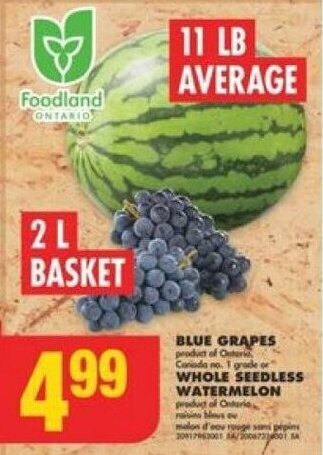 No Frills BLUE GRAPES or WHOLE SEEDLESS WATERMELON offer