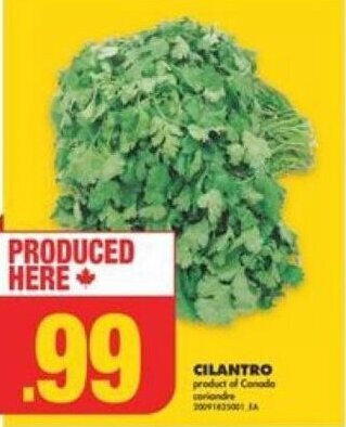 No Frills CILANTRO offer