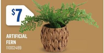 Canac Artificial fern offer