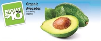 Co-op Organic Avocados offer