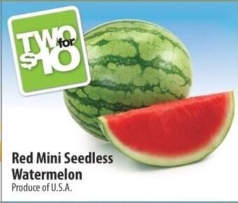 Co-op Red Mini Seedless Watermelon offer