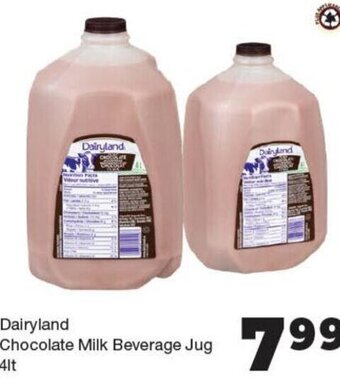 Quality Foods Dairyland Chocolate Milk Beverage Jug 4lt offer