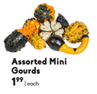 Sheridan Nurseries Assorted mini gourds offer