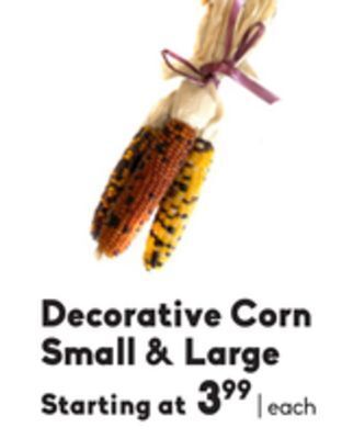 Decorative corn small & large