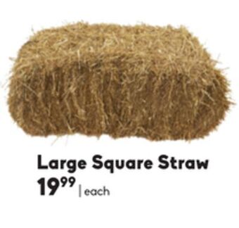 Sheridan Nurseries Large square straw offer
