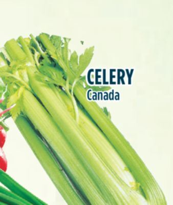 Marché Adonis Celery offer