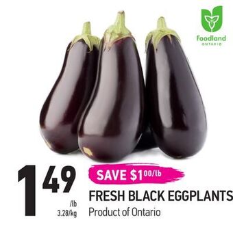 Coppa's Fresh Market Fresh black eggplants offer