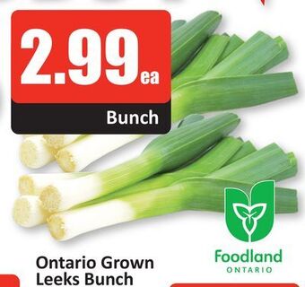 Starsky Ontario grown leeks bunch offer