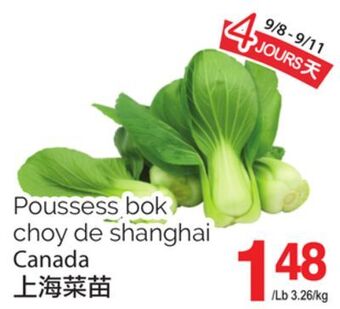 T&T Supermarket Poussess bok choy de shanghai canada offer