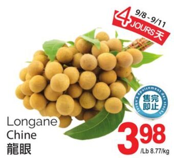 T&T Supermarket Longane offer