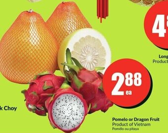 FreshCo Pomelo or Dragon Fruit offer
