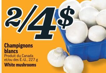 Marché Richelieu Champignons blancs | white mushrooms offer