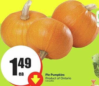 FreshCo Pie Pumpkins offer