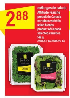 Maxi Mélanges de salade attitude fraîche, 142 g offer