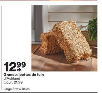 Michaels Grandes bottes de foin d'ashland offer