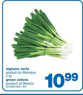 Wholesale Club Oignons verts, 2 lb offer
