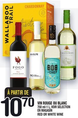 Marche Ami Vin rouge ou blanc | red or white wine offer
