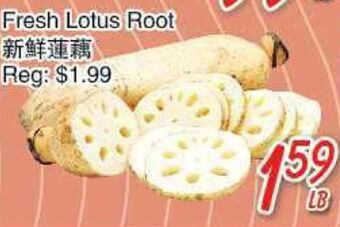 Foody Mart Fresh lotus root offer